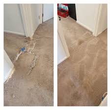 carpet repair counties property care
