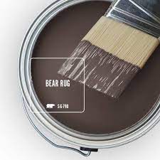 Bear Rug Flat Exterior Paint Primer