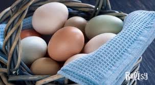 It's almost funny to me how much money you can earn, and it is surprising the kinds of things people will pay for! The Reality Of Selling Eggs From Your Homestead Rootsy Network