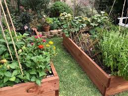 best raised garden bed kits for easy