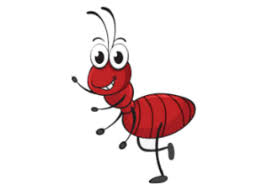Removing ants from your vehicle is a simple combination of vacuuming out the debris and ants from the floorboards, seats, and compartments, followed by setting out traps. How To Get Rid Of Ants In A Car Simple Methods
