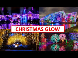 rhs wisley glow 2022