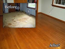 mr sandless wood floor refinishing 736