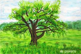 Wall Mural Willow Tree Painting