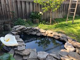 build a backyard in ground garden pond