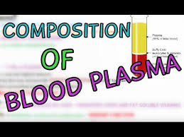 blood plasma composition of blood