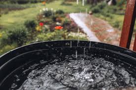 Rainwater Harvesting Tips For Beginners