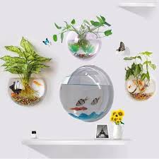 pot plant wall mounted hanging bubble