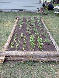 Create A Raised Garden Bed From Logs In