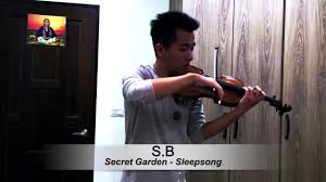 s b violin cover 小提琴