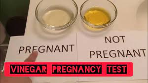 vinegar pregnancy test malam