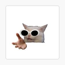 10 weird cat behaviors and quirks explained. White Cat Hands Meme Gifts Merchandise Redbubble