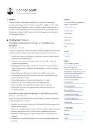 Business Development Manager Resume Samples Writing Guide