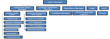 Integrated Reservoir Management Team Organization Chart 4