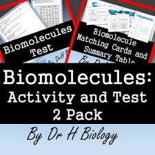 Biomolecule Worksheets Teaching Resources Teachers Pay