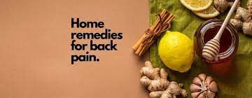 home remes for back pain sandpuppy