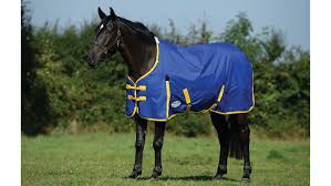 horse rugs for ping on a