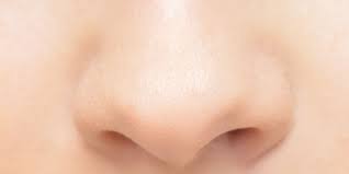how to contour a bulbous nose zwivel