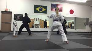 Soryu Karate - YouTube