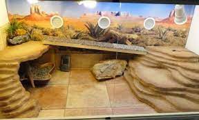 best substrate for bearded dragons the