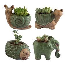 cute cactus bonsai small flower pots