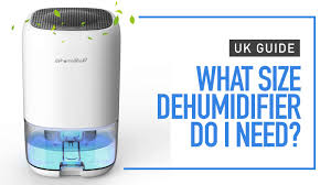 What Size Dehumidifier Do I Need