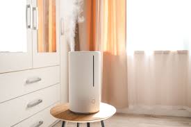 how to clean a humidifier according to
