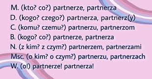 Słownik Neutratywów Języka Polskiego - Dziś znowu zajmiemy się końcówką -e,  ale tym razem nie od nazw stworzonych jak przymiotniki (narzeczony,  motorniczy itd.), a od typowych rzeczowników - mamy tu takie końcówki