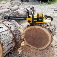 The 5 Best Ranked Battery Powered Chainsaws Lumberace