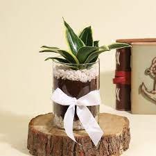 wedding gifts for nature