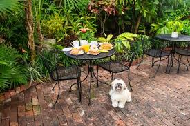 old town manor pet friendly