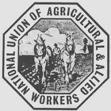 National union of plantation workers (nupw) National Union Of Agricultural And Allied Workers Wikipedia