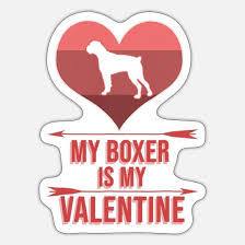 my boxer is my valentine day cute boxer