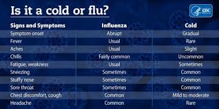 Cold Or Flu This Useful Cdc Symptoms Test May Help You Tell