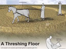 threshing floor by knight flame