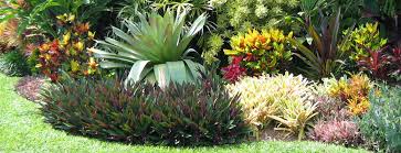 Tropical Garden Tropical Garden Ideas