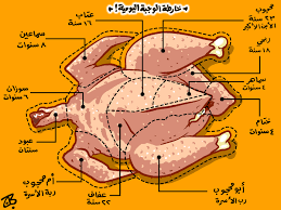 Kharitat Wajba Yawmiyya Chicken Map Chart Drum Stick Meat