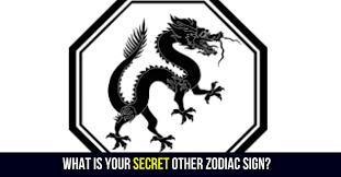 Your Secret Other Zodiac Sign