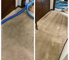 re pros carpet cleaning overland