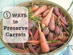 to preserve your carrot harvest