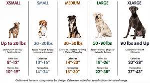dog harness size by weight chart 2022