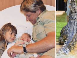 'i couldn't have found a more perfect person' bindi irwin gushes over chandler powell on her 20th birthday. Bindi Irwin Baby Update Brother Robert Looks Exactly Like Dad Steve In New Photo 7news Com Au
