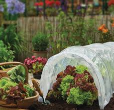 3m poly grow tunnel cover vegetable