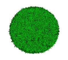 carpet round texture vector images