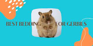 The 9 Best Bedding For Gerbils To