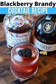 blackberry brandy tail drink recipe