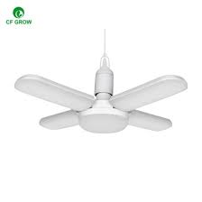 China Blade Ceiling Fans Led Light