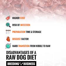 raw feeding and raw dog ts