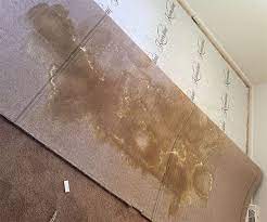 my carpet and now it smells like urine