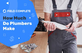 how much do plumbers make field complete